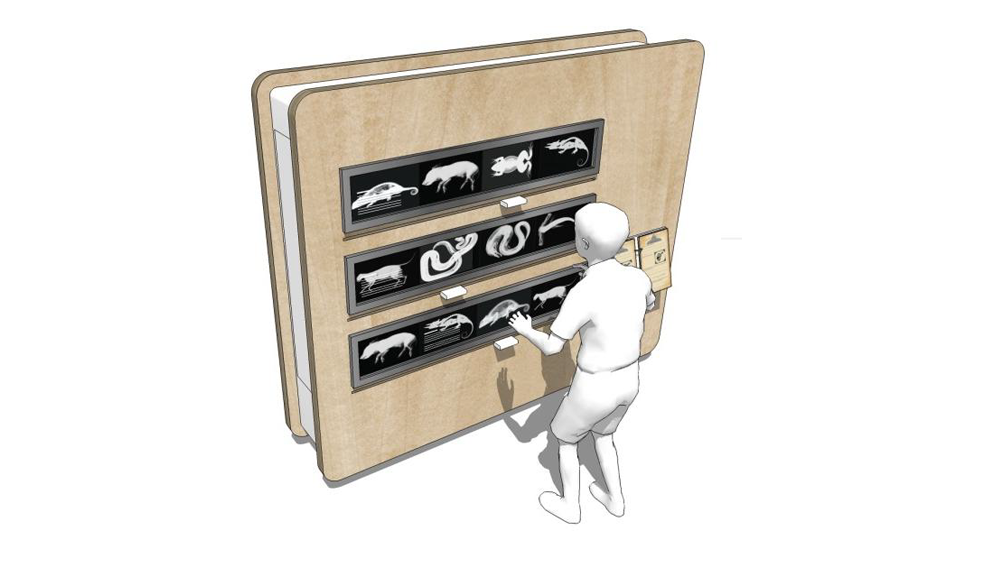 파충류와 양서류, 어떻게 다를까? 이미지